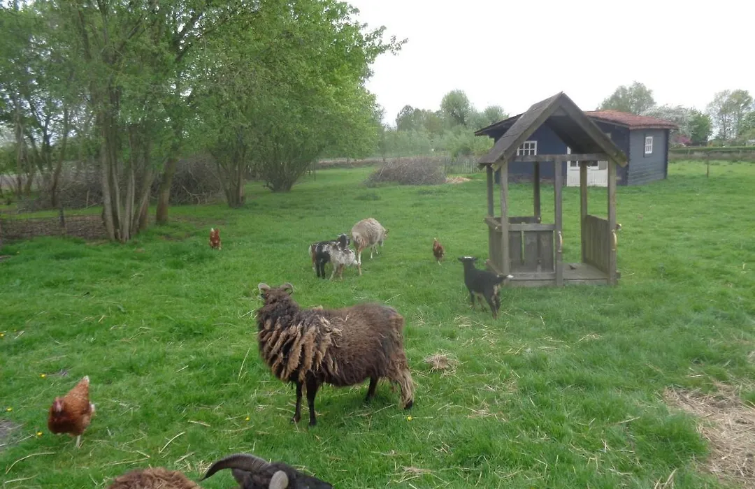B&B De Boeren Zwaluw-1
